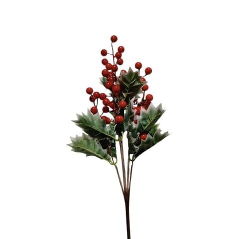 KOKİNA KIRMIZI YEŞİL YAPRAKLI 45CM