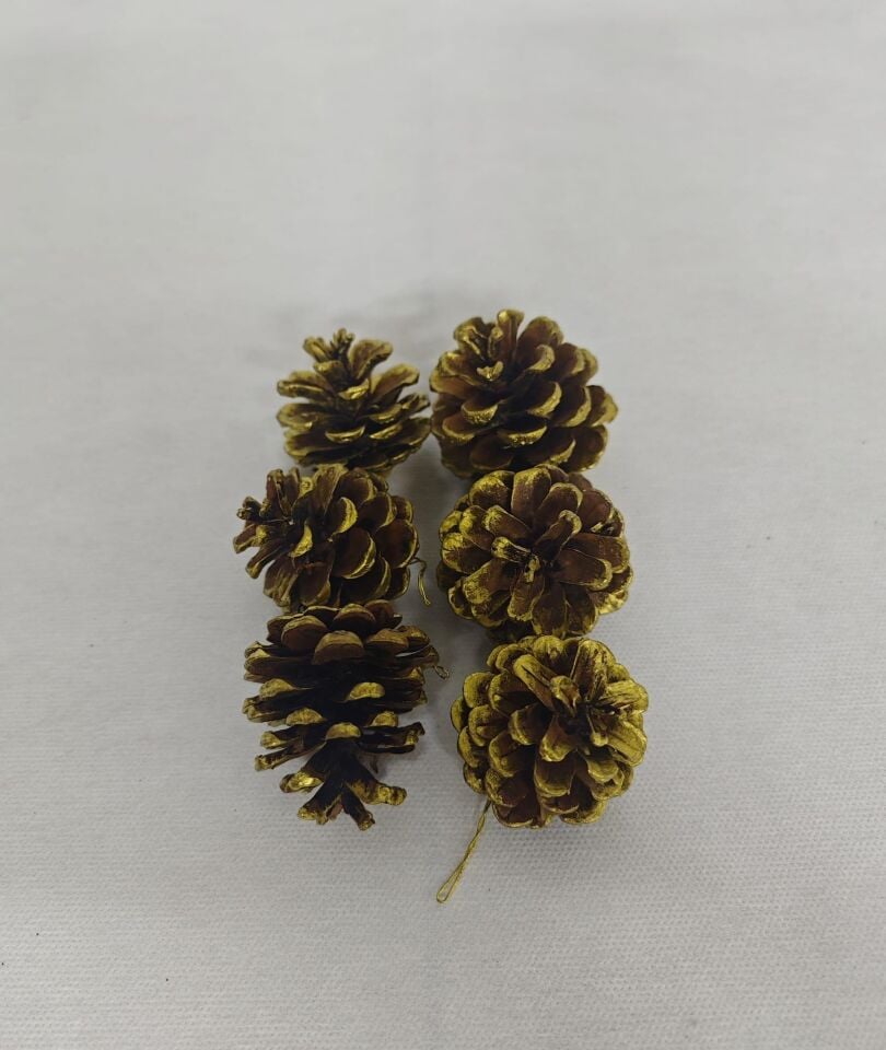 AĞAÇ SÜSÜ KOZALAK 6 LI