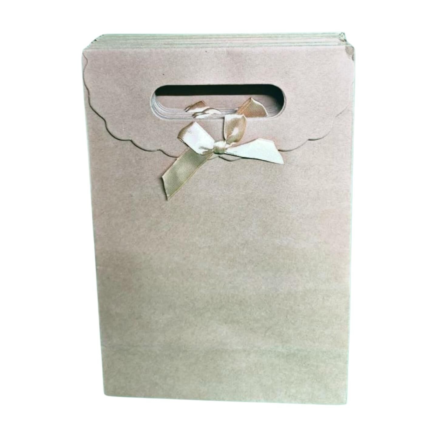 ÇANTA KARTON İTH. CIRTLI KRAFT  19*9*27 12 Lİ