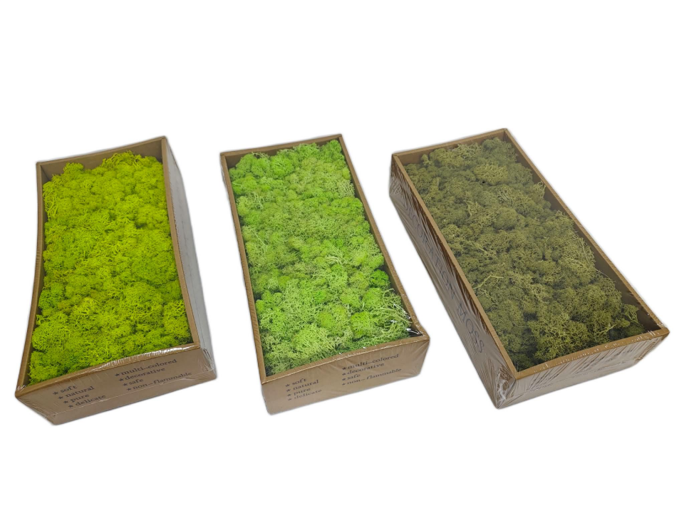KURU ÇİÇEKÇİ YOSUN 500 GR SARI TONLAR