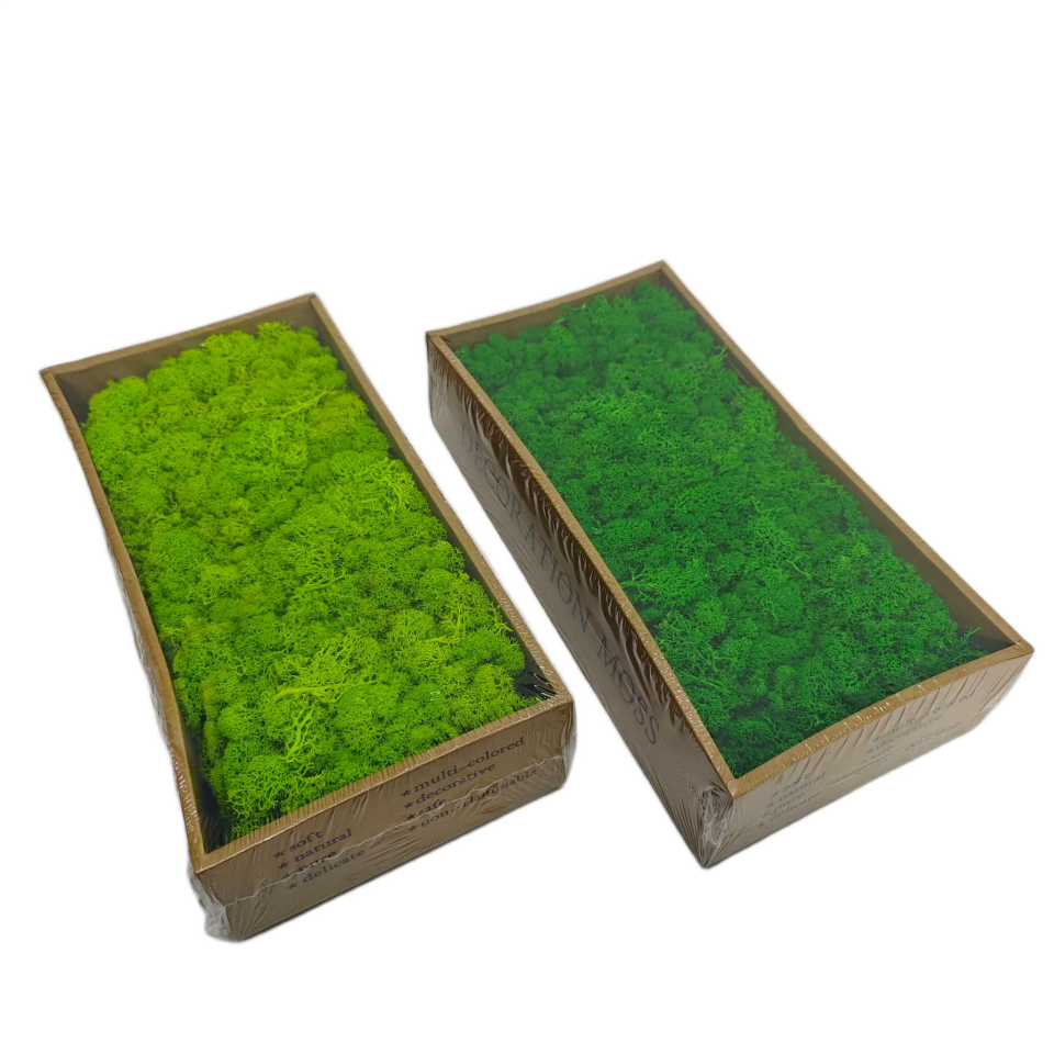 KURU ÇİÇEKÇİ YOSUN 500 GR AÇIK YEŞİL TONLARI