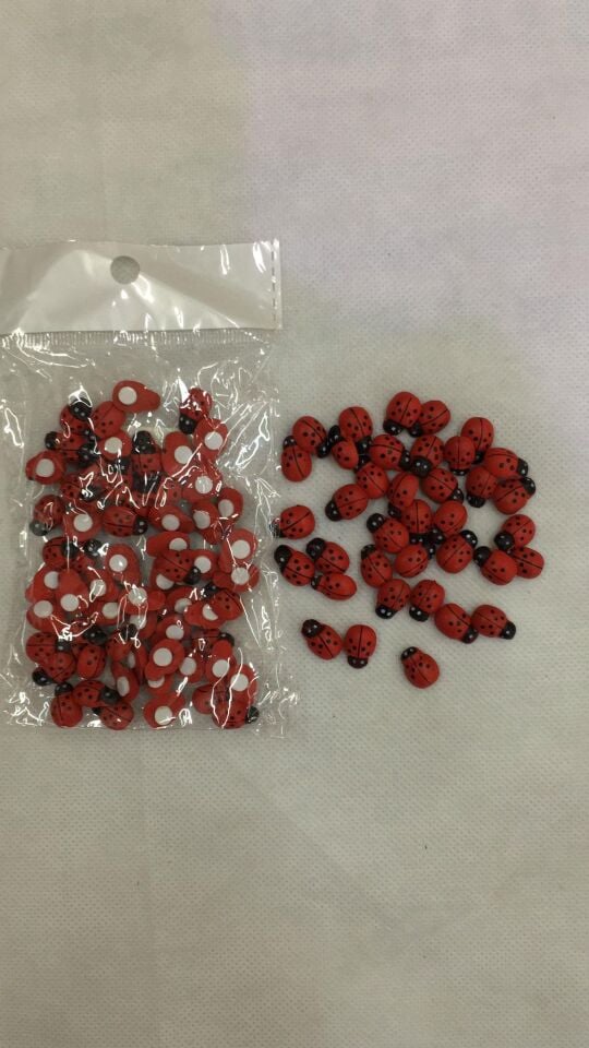 UĞUR BÖCEĞİ  YAPIŞKANLI 9*13 100'LÜ