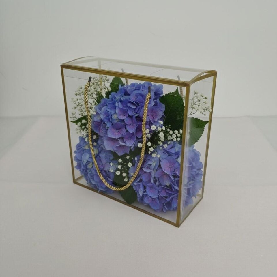 ÇANTA ŞEFFAF ALTIN KENARLI 25*25*10 CM  10 LU