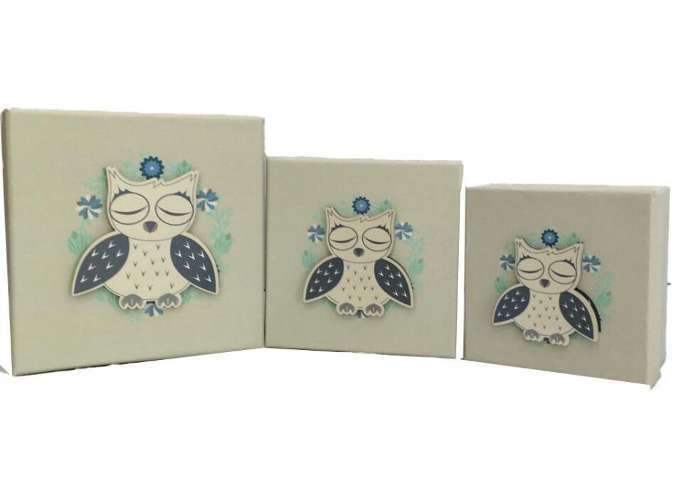KUTU KARE SLEEPING OWL 3 LÜ SET