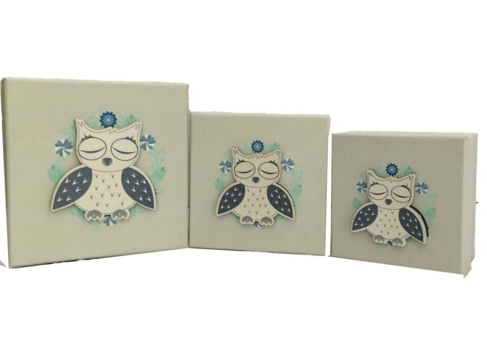 KUTU KARE SLEEPING OWL 3 LÜ SET