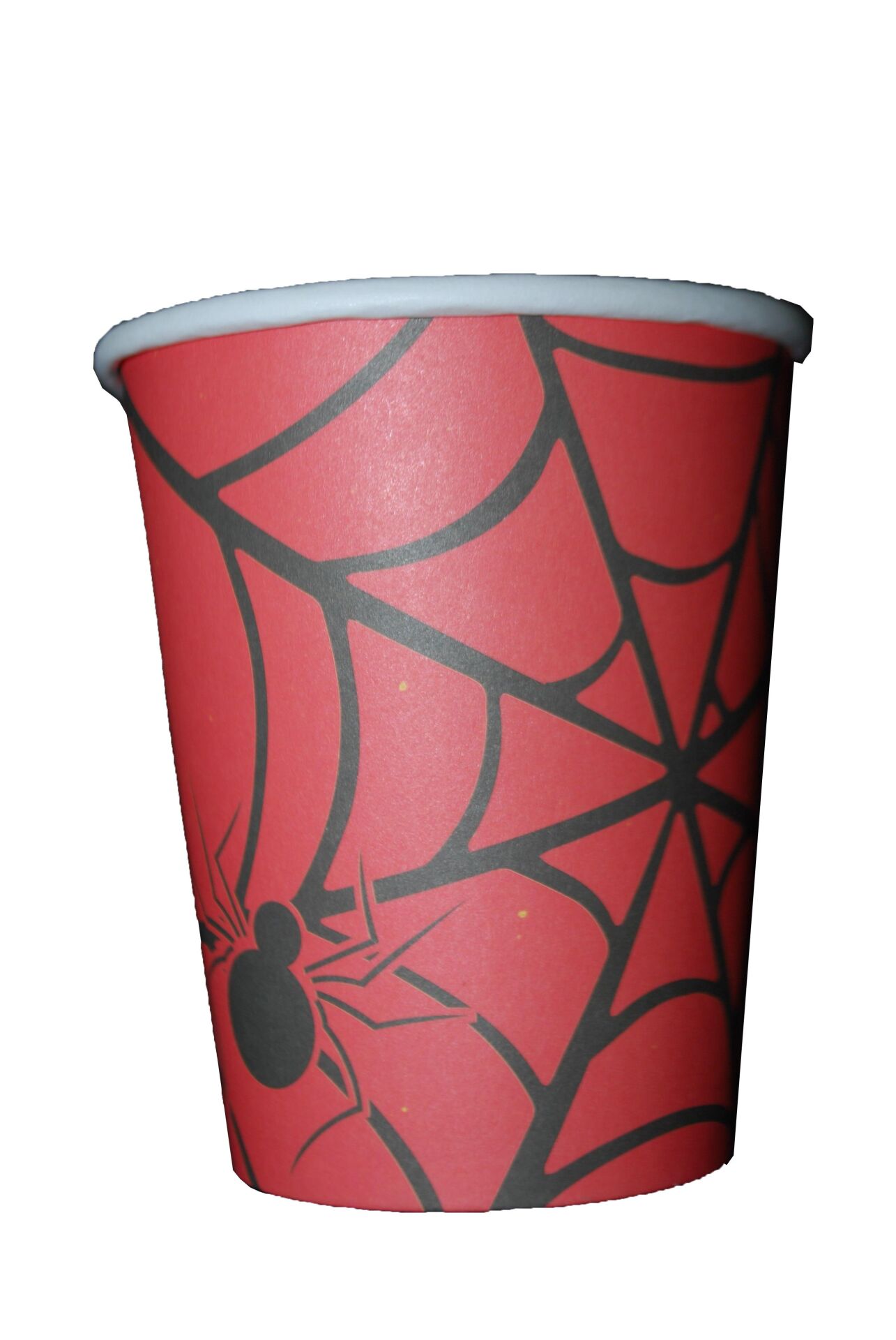 BARDAK KARTON ÖRÜMCEK  8 Lİ