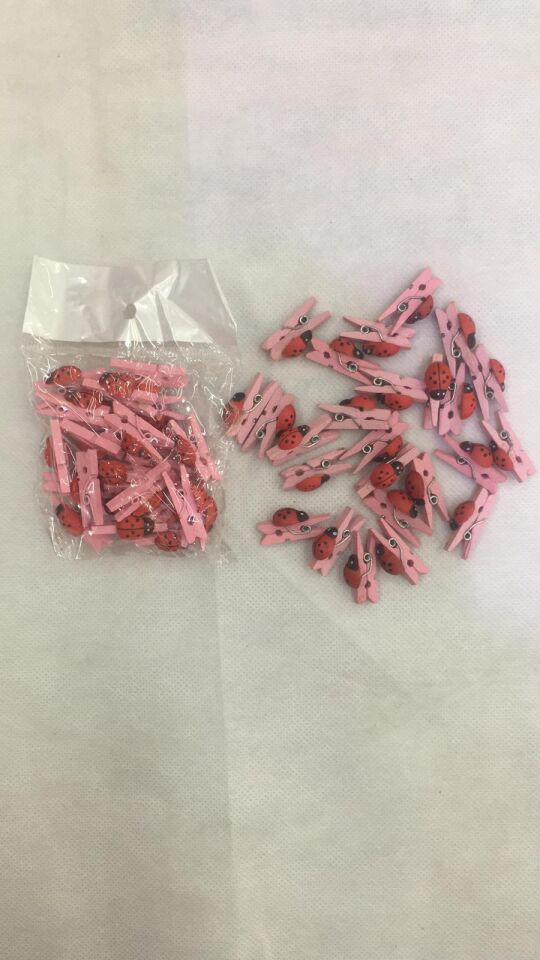 MANDAL RENKLİ UĞUR BÖCEKLİ 25 Lİ PEMBE