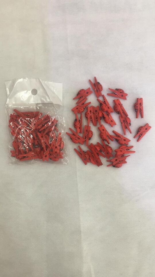 MANDAL RENKLİ UĞUR BÖCEKLİ 25 Lİ KIRMIZI