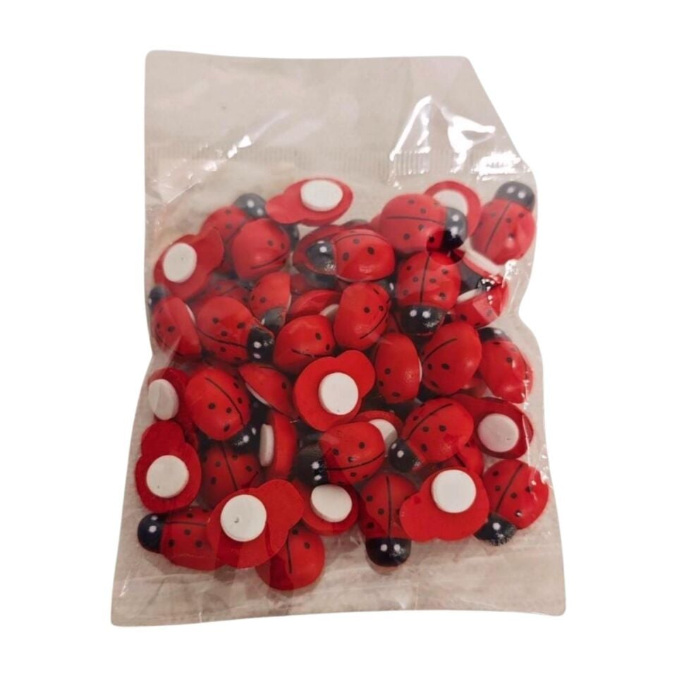 UĞUR BÖCEĞİ YAPIŞKANLI 14*19 50 Lİ PK. KIRMIZI