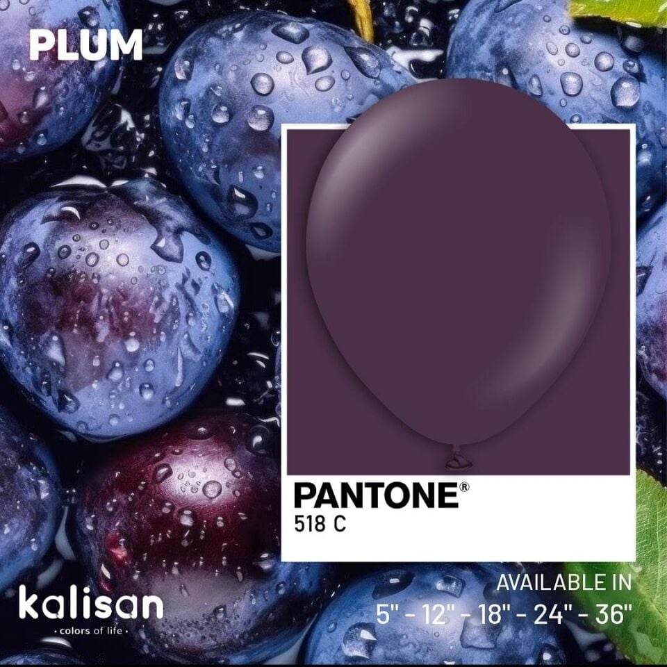 BALON 12'' DÜZ RENK PLUM(ERİK) 100'LÜ KALİSAN