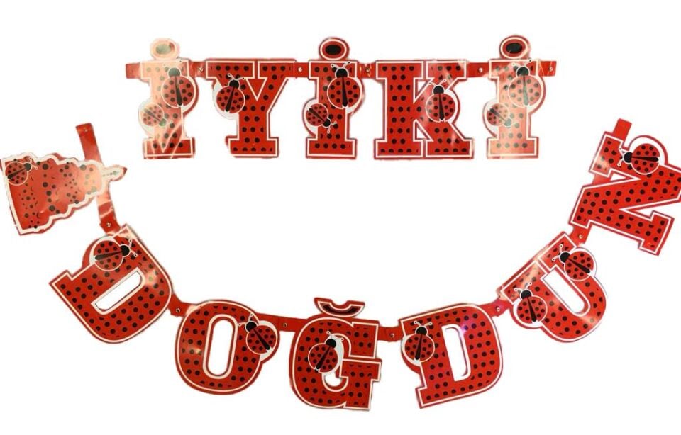 OYNAR KARTON YAZI İYİKİ DOĞDUN UĞUR BÖCEKLİ KIRMIZ