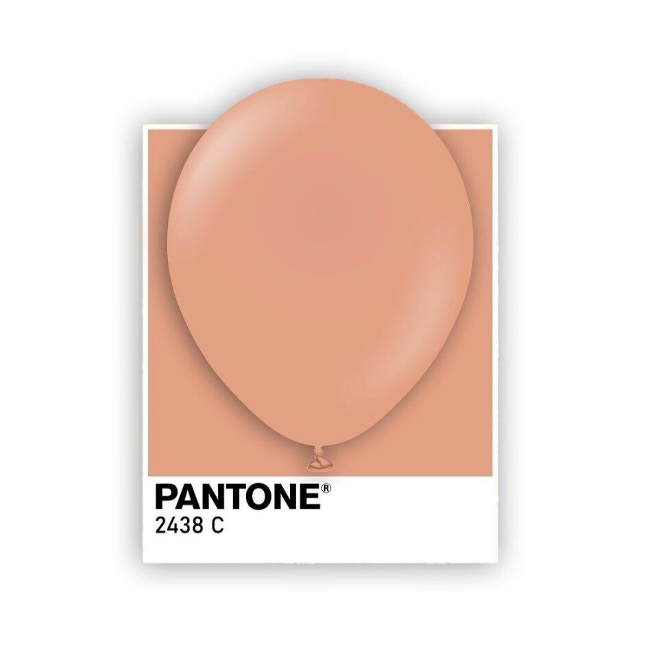 BALON 5'' CLAY PİNK100 LÜ KALİSAN