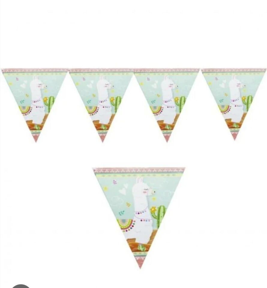 FLAMA LİSANSLI ARKADAŞIM LAMA