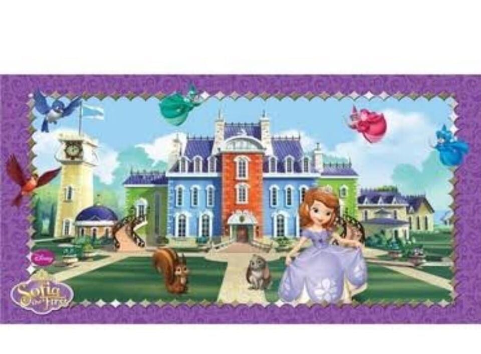 BANNER PLASTİK LİSANSLI 150*77 SOFIA DUVAR İÇİN