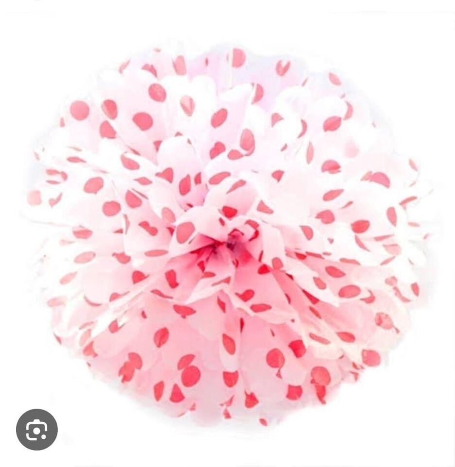 KAĞIT SÜS PELUR KAĞIT POMPOM PUANTİYELİ 25 CM 10 L