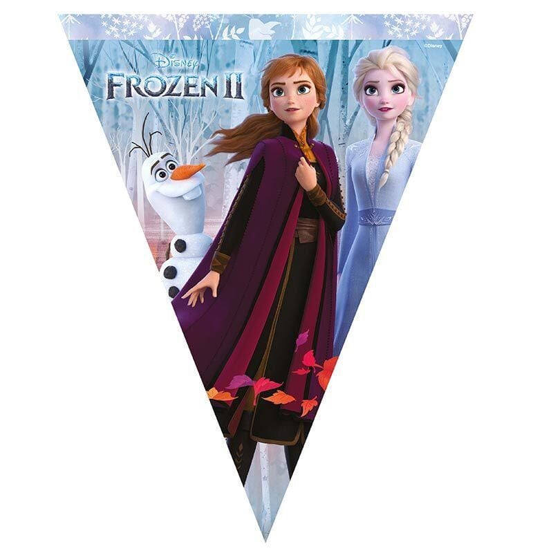 FLAMA LİSANSLI FROZEN 2