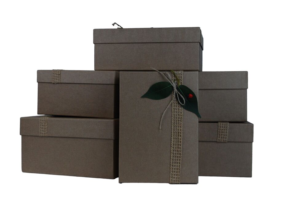 KUTU DİKDÖRTGEN KRAFT GAUZE UĞURBÖCEKLİ 6 LI