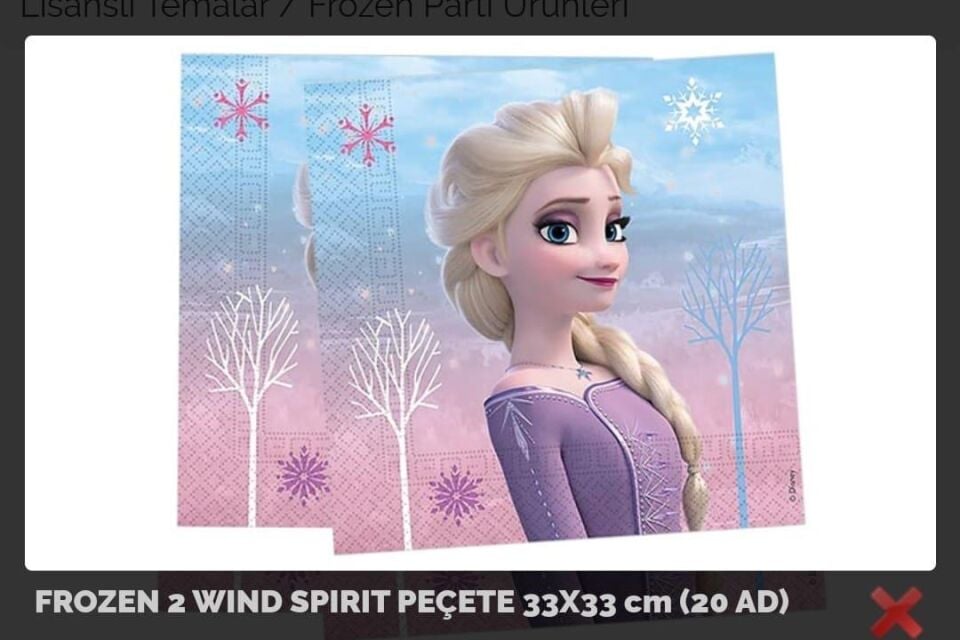 PEÇETE LİSANSLI FROZEN 2 WIND SPIRIT
