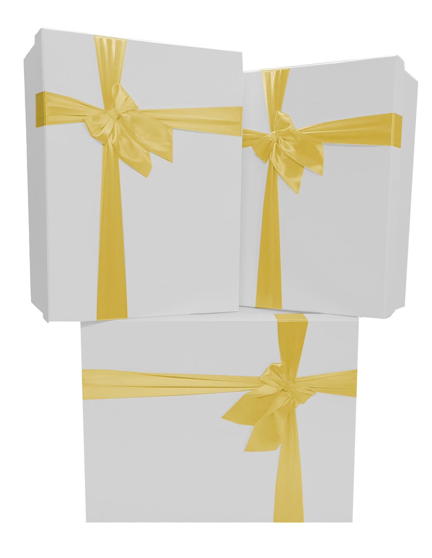 TN DİKDÖRTGEN 3 LÜ BÜYÜK KUTU FYONKLU BEYAZ