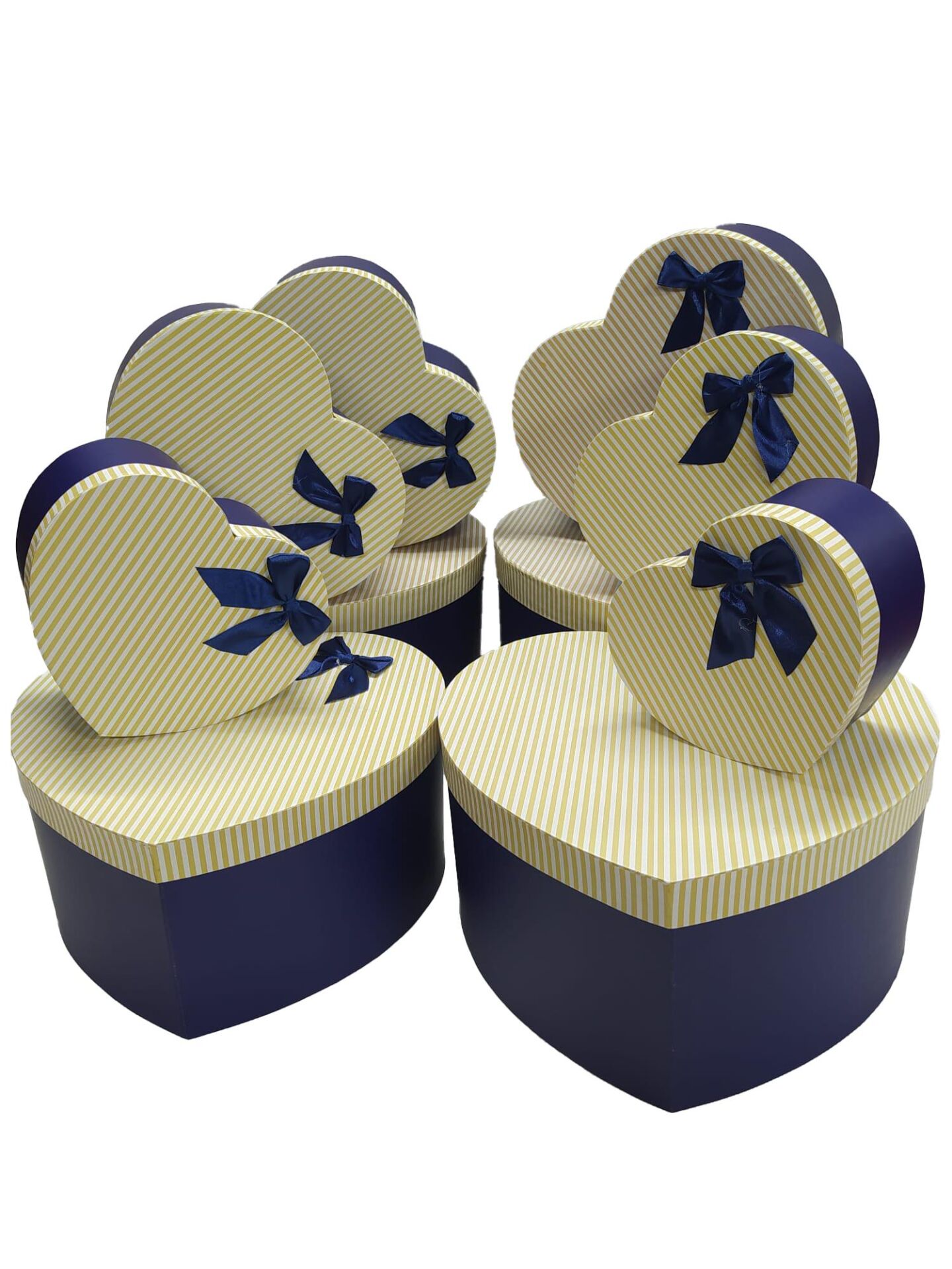 TN KALPLİ KUTU 10 LU PAPYONLU KREM ÇİZGİLİ