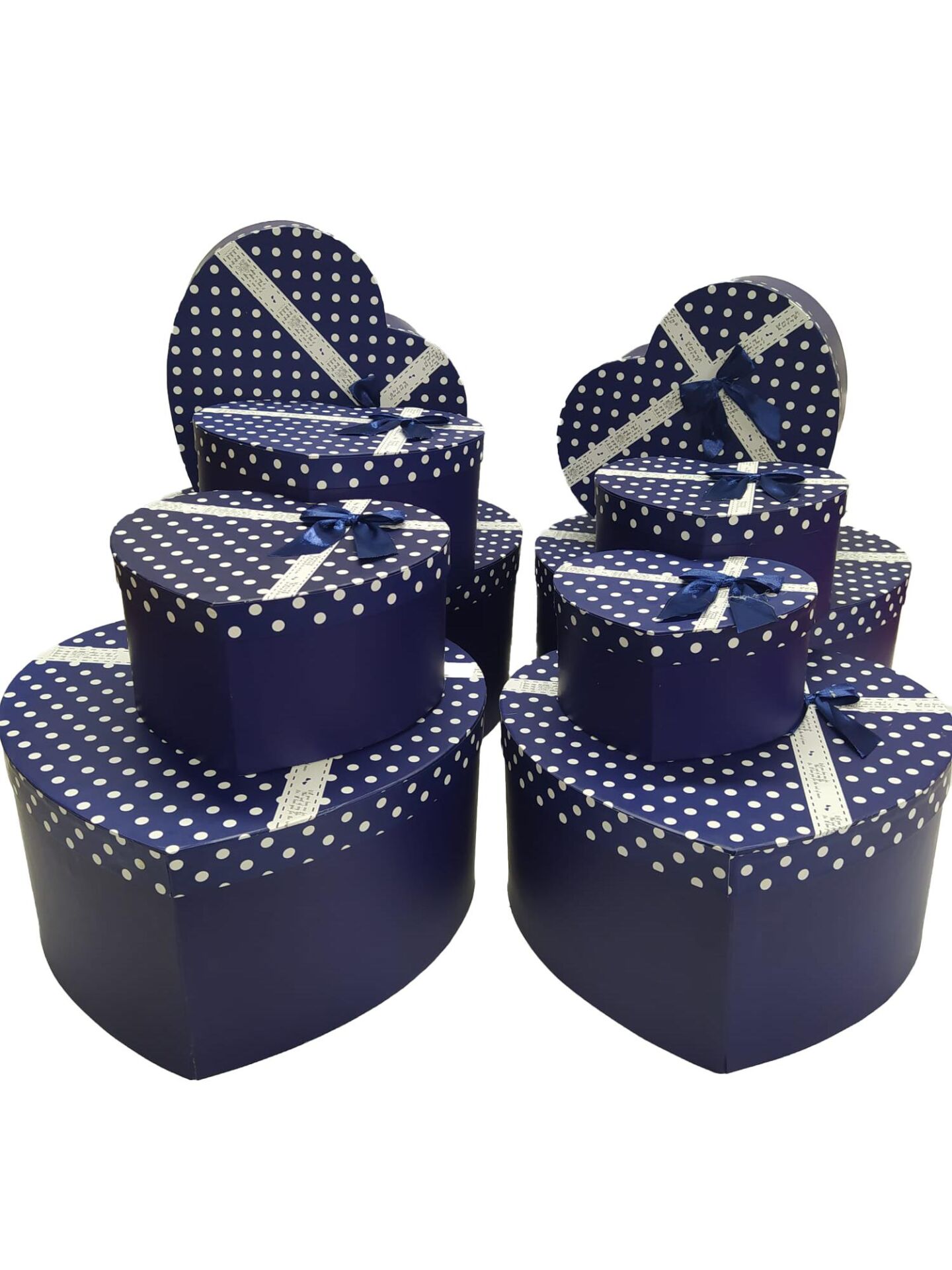 TN KALPLİ KUTU 10 LU PAPYONLU PUANLI LACİVERT