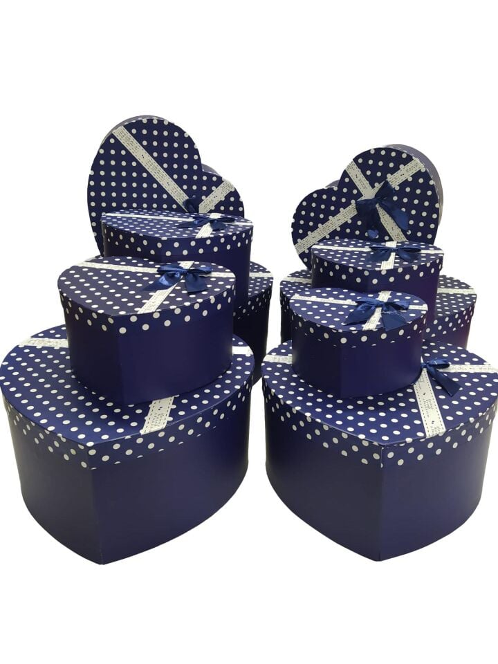 TN KALPLİ KUTU 10 LU PAPYONLU PUANLI LACİVERT