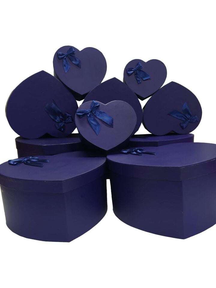 TN KALPLİ KUTU 10 LU PAPYONLU  LACİVERT