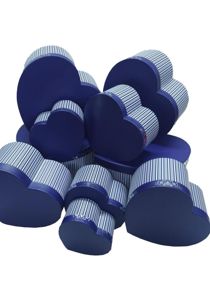 TN KALPLİ KUTU 10LU KENARI VARAK  LACİVERT ÇİZGİLİ