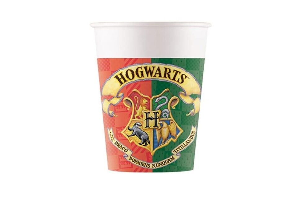 BARDAK LİSANSLI HARRY POTTER