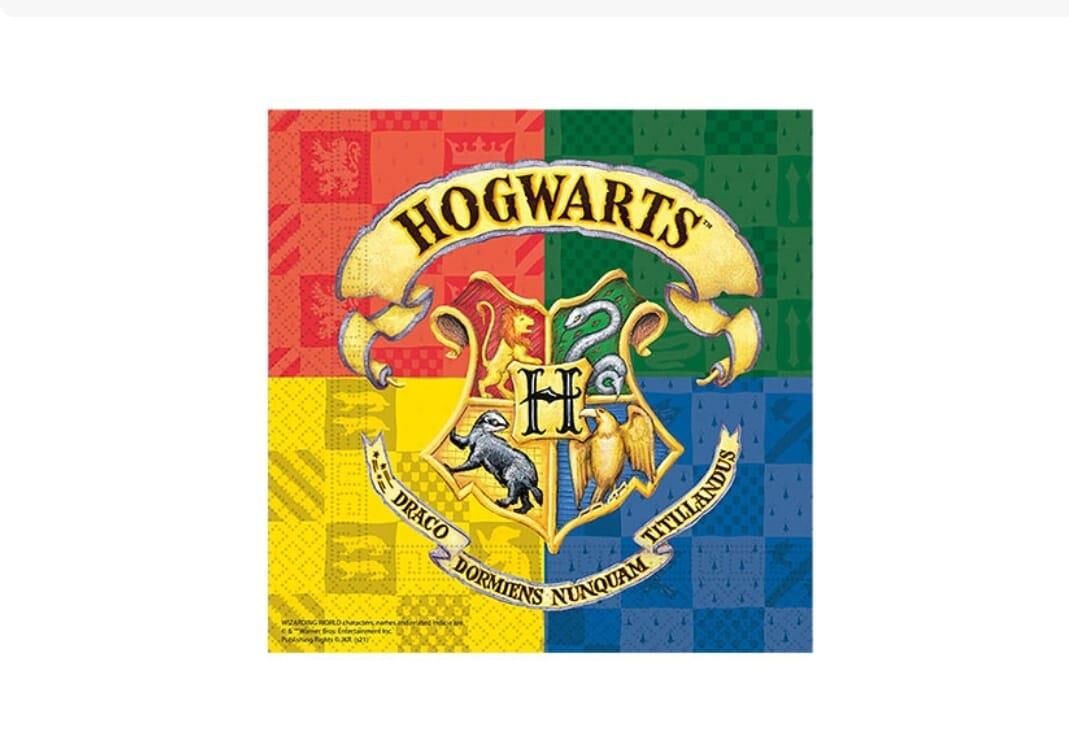 PEÇETE LİSANSLI HARRY POTTER