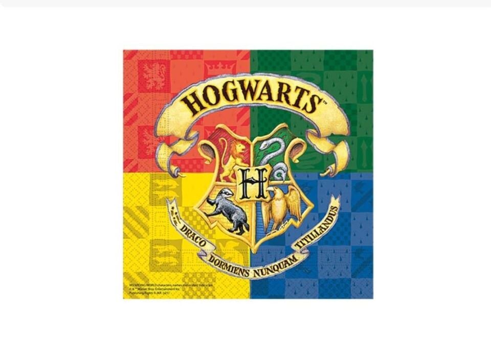 PEÇETE LİSANSLI HARRY POTTER