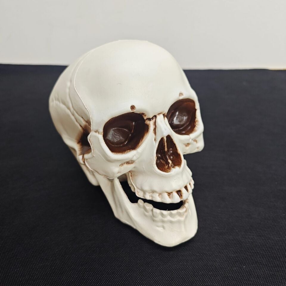 HALLOWEEN KURU KAFA BÜYÜK