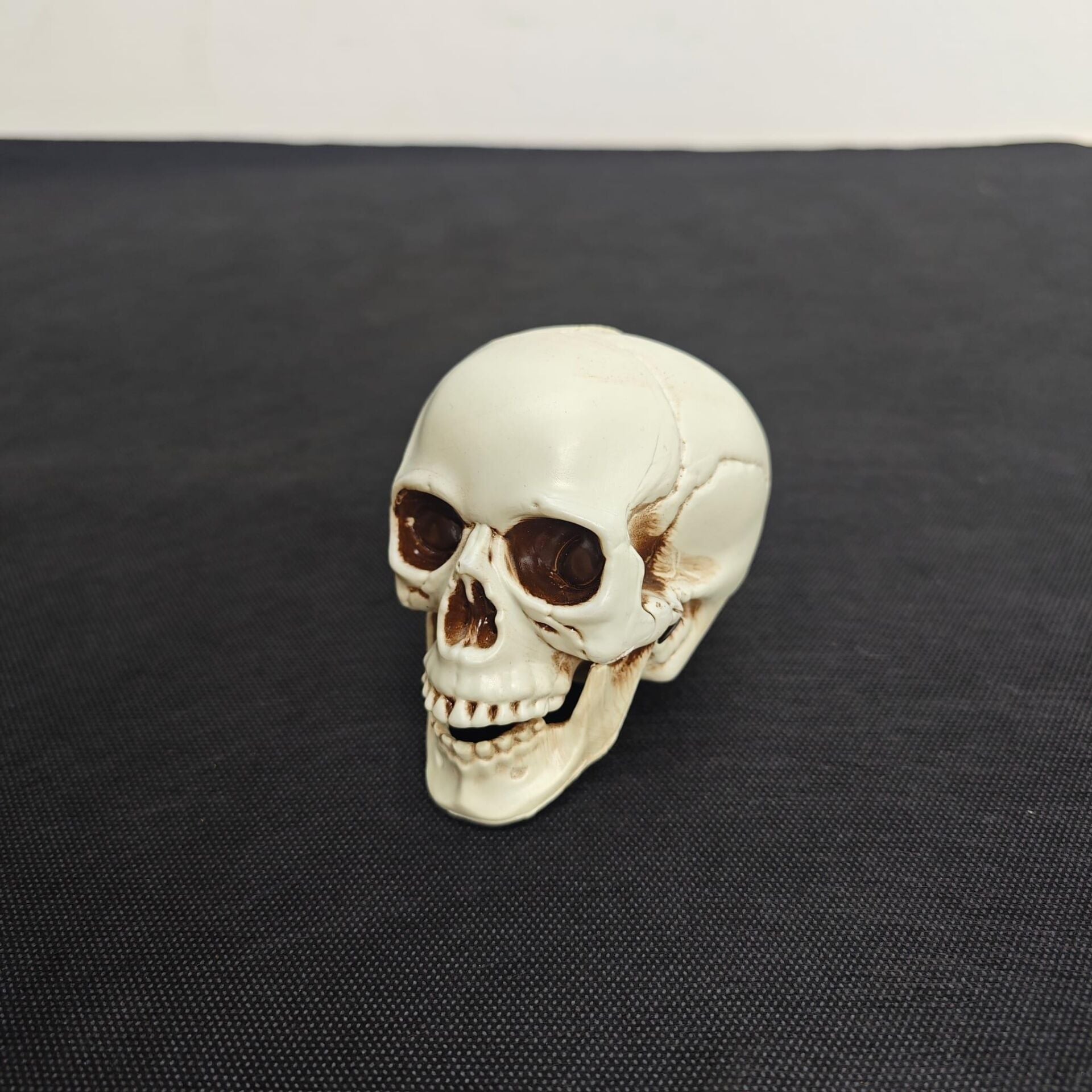 HALLOWEEN KURU KAFA KÜÇÜK