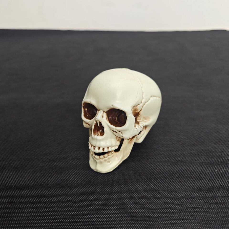 HALLOWEEN KURU KAFA KÜÇÜK