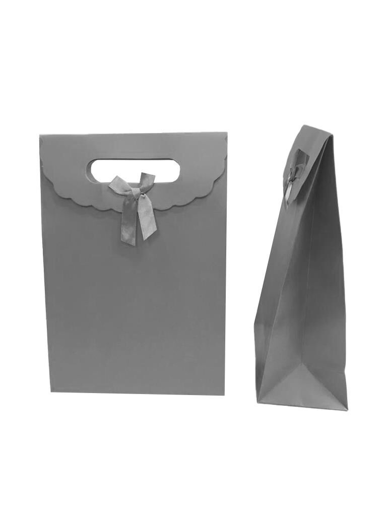 ÇANTA KARTON İTH. CIRTLI  GÜMÜŞ  19*9*27 12 Lİ