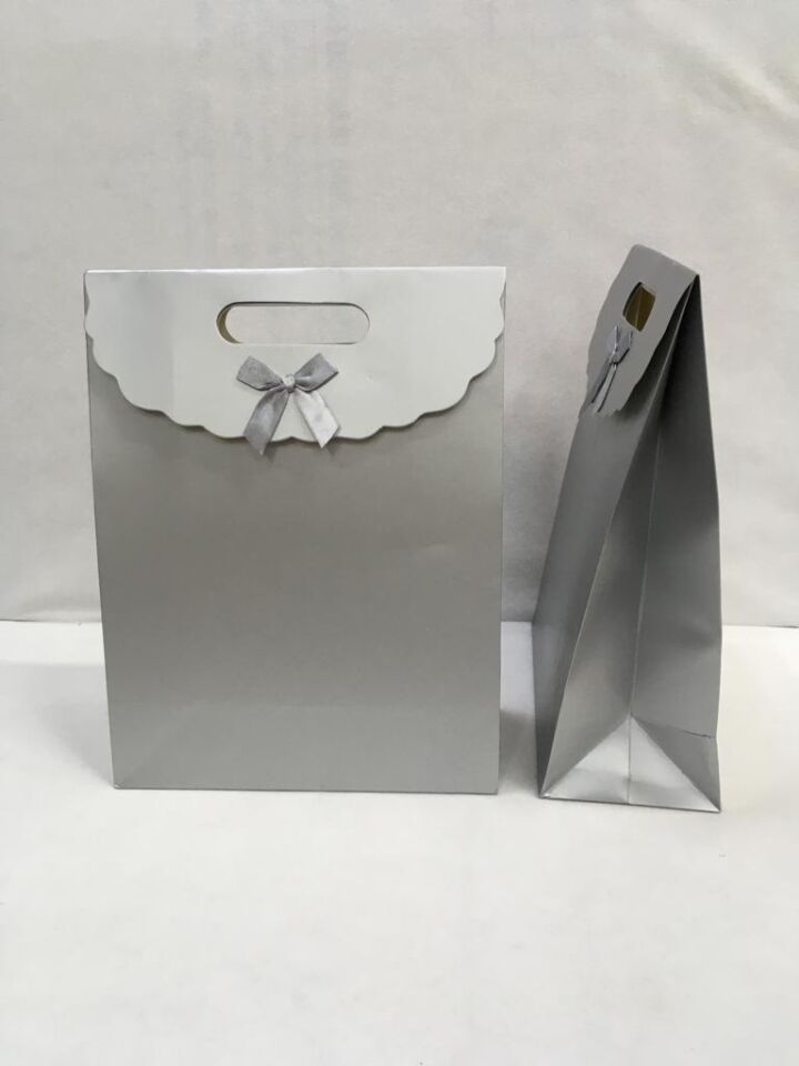 ÇANTA KARTON İTH. CIRTLI  GÜMÜŞ  24*12*31 12 Lİ